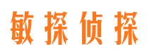 平阳市私人调查